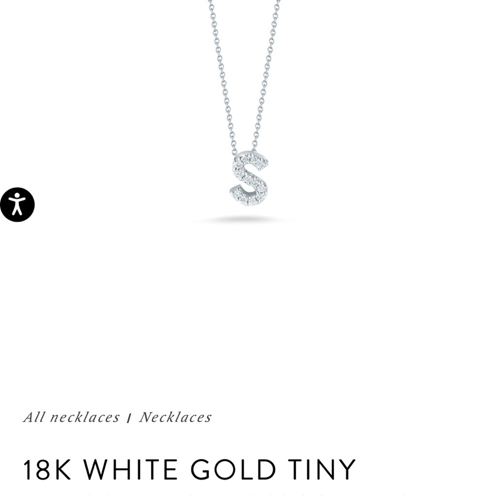 18K White Gold Tiny S Necklace